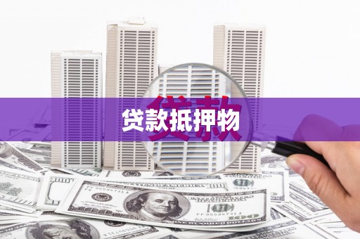 四湖贷款抵押物