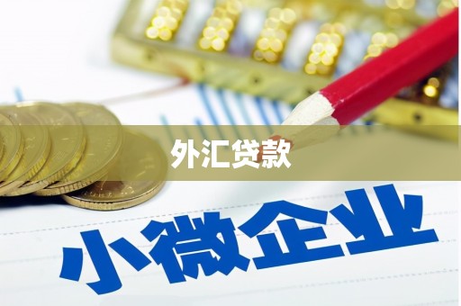 临邑外汇贷款