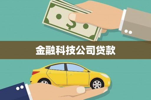 岱岳金融科技公司贷款