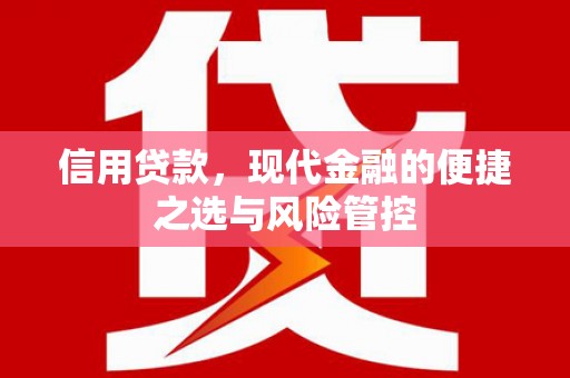 盐田信用贷款，现代金融的便捷之选与风险管控