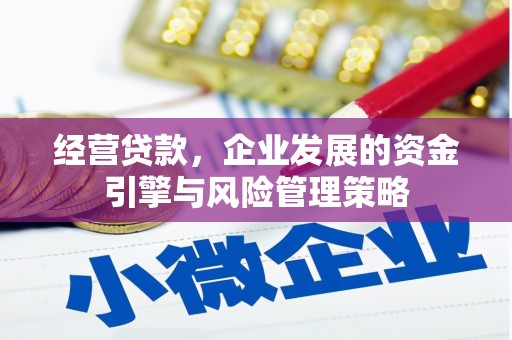 武进经营贷款，企业发展的资金引擎与风险管理策略