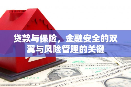 永新贷款与保险，金融安全的双翼与风险管理的关键