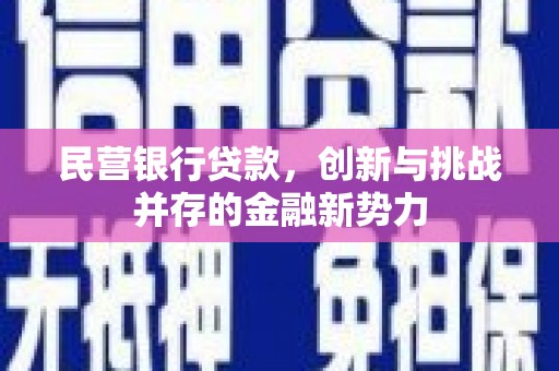 南宫民营银行贷款，创新与挑战并存的金融新势力