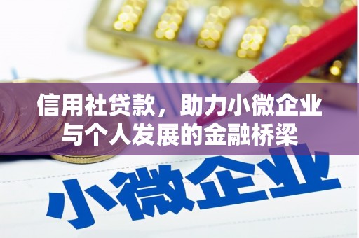 嵩县信用社贷款，助力小微企业与个人发展的金融桥梁