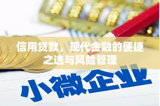 大园信用贷款，现代金融的便捷之选与风险管理