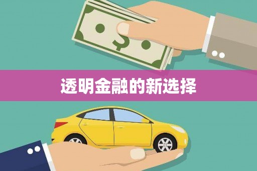 利津透明金融的新选择