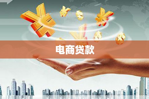 丰原电商贷款