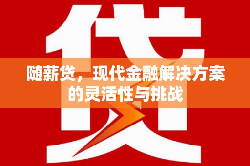 岱山随薪贷，现代金融解决方案的灵活性与挑战