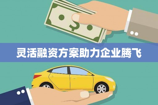 佳木斯灵活融资方案助力企业腾飞