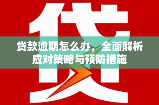 茂林贷款逾期怎么办，全面解析应对策略与预防措施