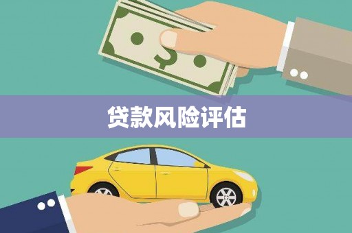 普湾新区贷款风险评估