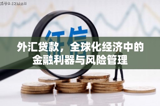 惠山外汇贷款，全球化经济中的金融利器与风险管理