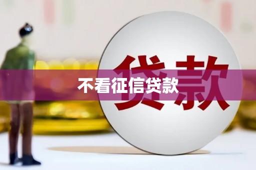 勉县不看征信贷款