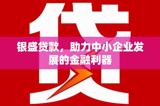 博湖银盛贷款，助力中小企业发展的金融利器