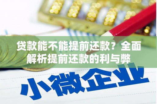 南华贷款能不能提前还款？全面解析提前还款的利与弊