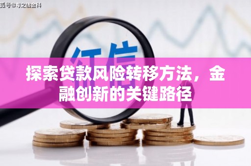 内湖探索贷款风险转移方法，金融创新的关键路径