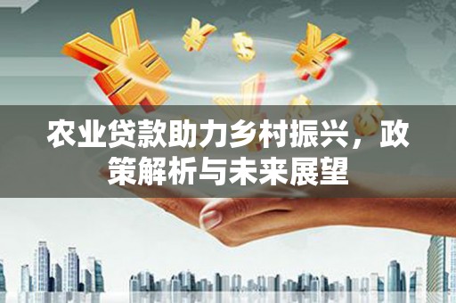 武鸣农业贷款助力乡村振兴，政策解析与未来展望