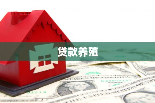 苓雅贷款养殖