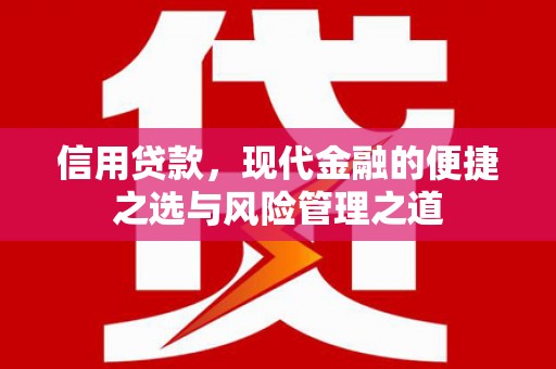 颍泉信用贷款，现代金融的便捷之选与风险管理之道