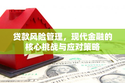 疏勒贷款风险管理，现代金融的核心挑战与应对策略