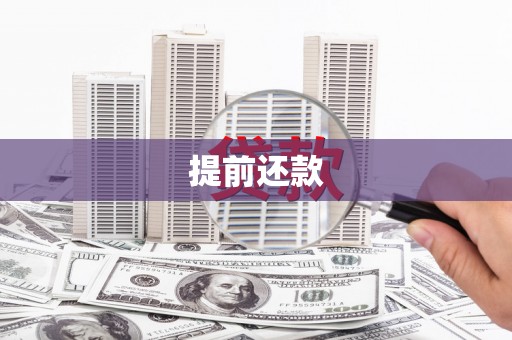 庆元提前还款