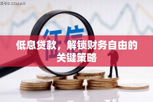 温岭低息贷款，解锁财务自由的关键策略