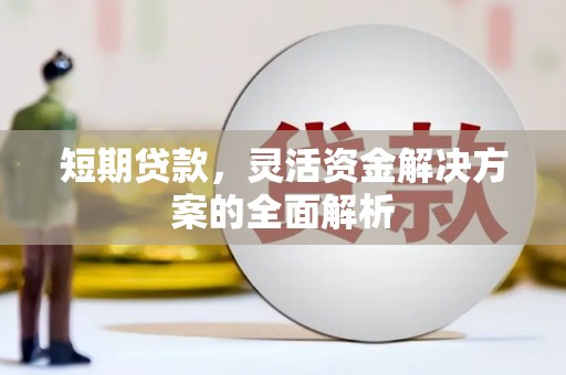 莎车短期贷款，灵活资金解决方案的全面解析