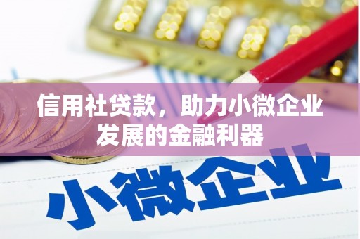 小金信用社贷款，助力小微企业发展的金融利器