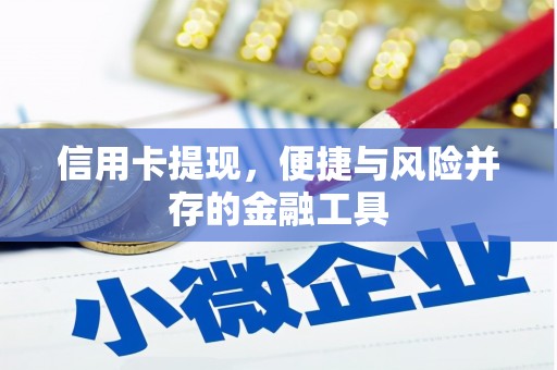 临海信用卡提现，便捷与风险并存的金融工具