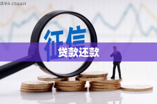 南郊贷款还款