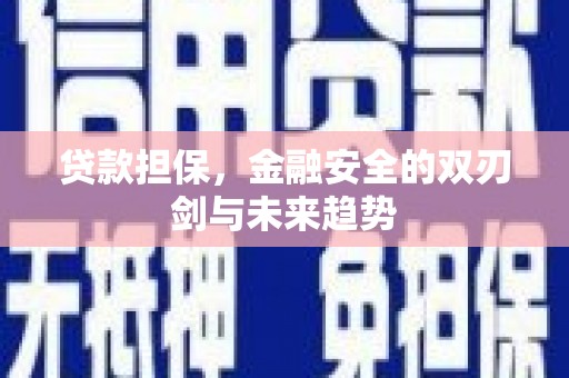 合山贷款担保，金融安全的双刃剑与未来趋势