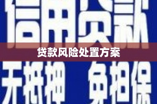 景东贷款风险处置方案