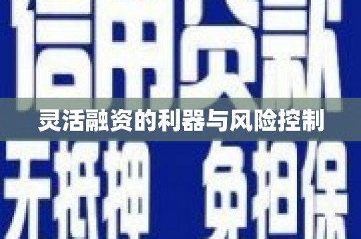 源城灵活融资的利器与风险控制
