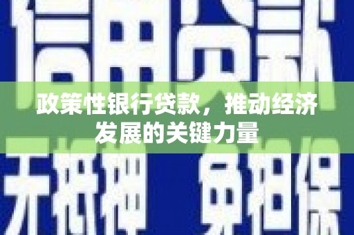 柞水政策性银行贷款，推动经济发展的关键力量