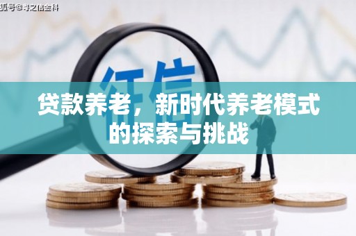 岳阳楼贷款养老，新时代养老模式的探索与挑战