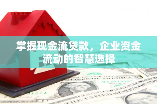 漯河掌握现金流贷款，企业资金流动的智慧选择