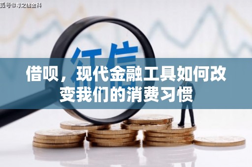 武邑借呗，现代金融工具如何改变我们的消费习惯