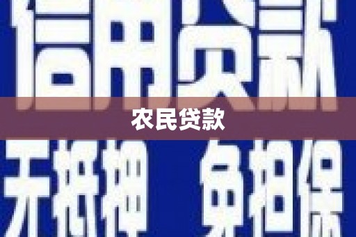 西区农民贷款