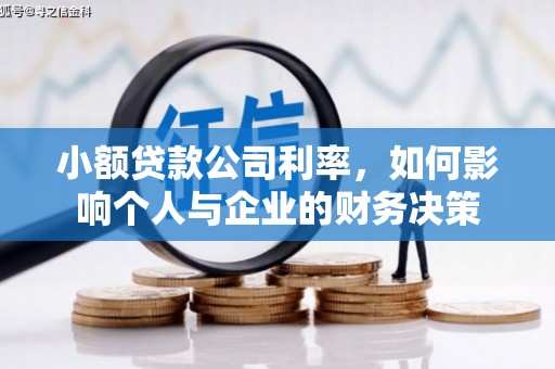 竹崎小额贷款公司利率，如何影响个人与企业的财务决策