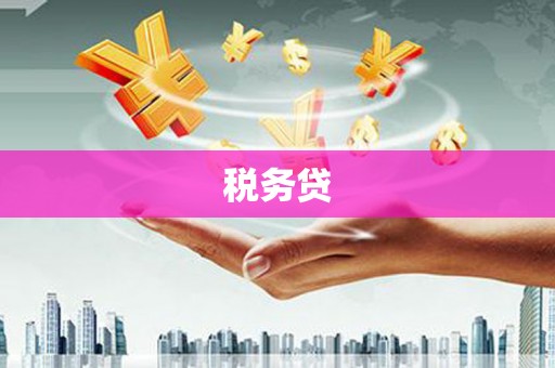 滁州税务贷