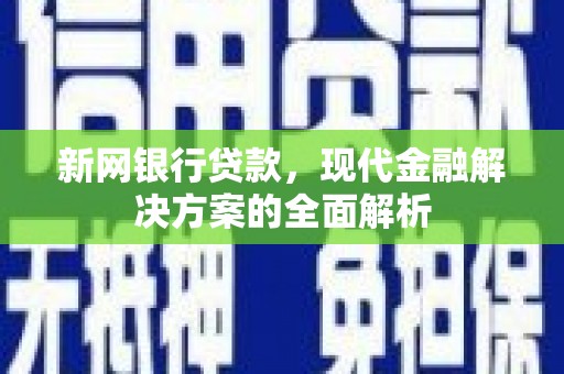 雷州新网银行贷款，现代金融解决方案的全面解析