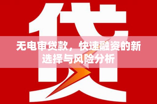 紫阳无电审贷款，快速融资的新选择与风险分析