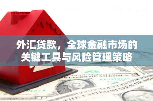 屏山外汇贷款，全球金融市场的关键工具与风险管理策略