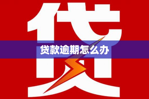 海安贷款逾期怎么办