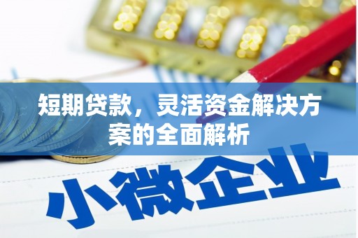 赫山短期贷款，灵活资金解决方案的全面解析
