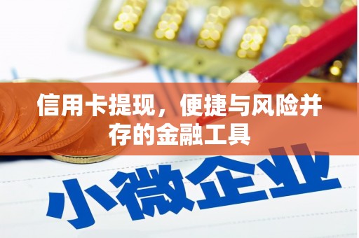 托里信用卡提现，便捷与风险并存的金融工具