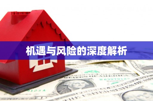 云霄机遇与风险的深度解析