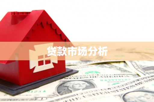 翔安贷款市场分析