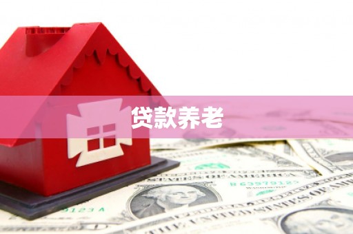 郴州贷款养老