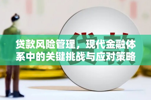 和政贷款风险管理，现代金融体系中的关键挑战与应对策略